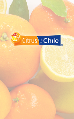 citrus from chile – Copy (3)