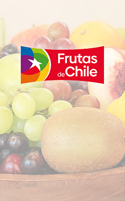 fruits from chile 2024